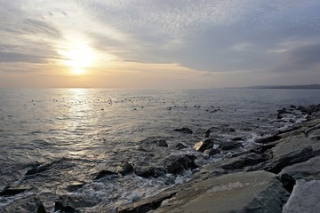 Wavy seascape view at sunset from the shore with large mossy stones and sea birds over the water surface.