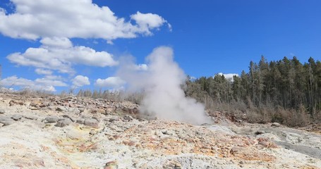 Yellowstone National Park geyser basin steam. Geothermal ecosystem environment. Largest super volcano on the continent. Biology geography and ecology. Millions of tourist.