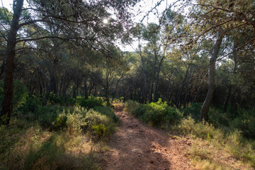 The natural park of the desert of las palmas in Castellon