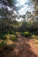 The natural park of the desert of las palmas in Castellon