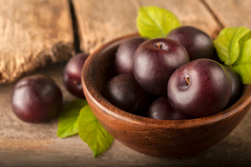 Freshly harvested healthy organic plums in a bowl