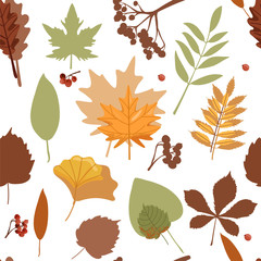 Autumn background. Seamless  abstract pattern with autumn various leaves and rowan. Print for fabric, web page background, scrapbooking and wrapping paper. Vector illustration on white background.