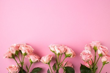 Pink rose flowers on pastel pink background.