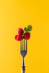 Raspberries on fork against yellow background. Summer food
