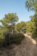 The natural park of the desert of las palmas in Castellon
