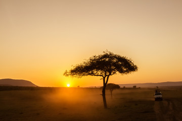 Fototapeta na wymiar African sunrise with acacia trees and safari car in Masai Mara, Kenya. Savannah background in Africa. Safari concept