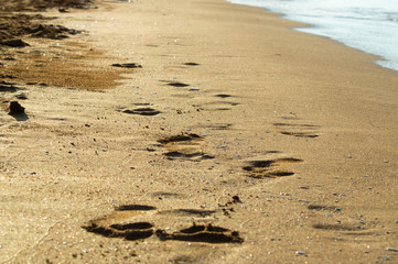 footprints on the beach