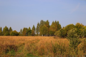 Russian field