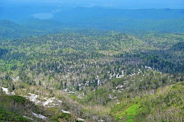 残雪と新緑に包まれた大雪山の情景＠北海道