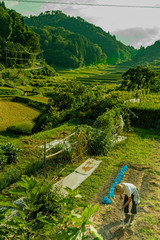 兵庫県・耕す人