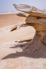 Sandstone in the desert, fossil dunes, Abu Dhabi emirate, UAE, Al Wathba