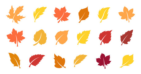 Autumn leaves set - obrazy, fototapety, plakaty