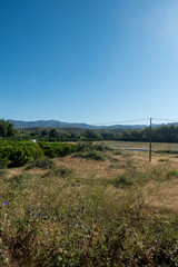The green road of the Ebro in Tarragona