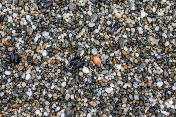 Pebbles at the beach