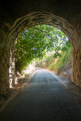 Fototapeta premium The green road of the Ebro in Tarragona