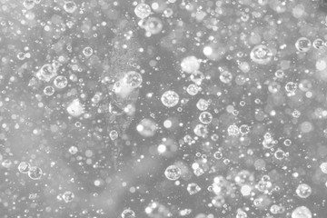 Black and white focused and defocused bubbles
