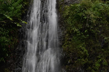 Fototapeta na wymiar exotic waterfall in deep forest