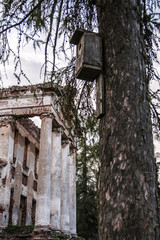 birdhouse on tree