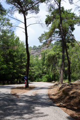 True forest of the Mediterranean coast of Turkey between Kemer and Tekirova towns. Overgrown city Phaselis