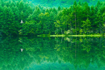 緑萌える池、御射鹿池