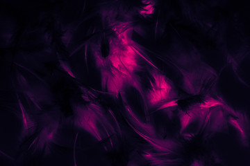 Beautiful closeup textures abstract colorful dark black and pink feathers and darkness pattern feather wallpaper and background