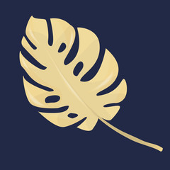 Jungle gold leave of monstera creepers on an isolated blue background