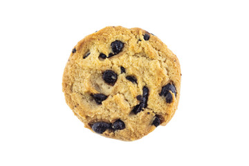 one cookie chocolate on white background.