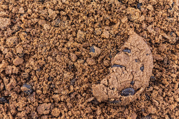 Cookies chocolate broken into fine pieces.