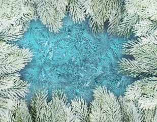 Christmas composition background. Winter window with green fir branch and white frost on blue frozen glass
