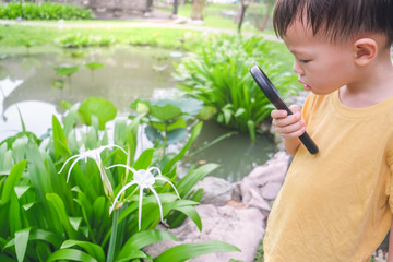 Cute little Asian 3 - 4 years old toddler baby boy child exploring environment by looking through a magnifying glass in sunny day at beautiful garden, kid first experience & discovery concept