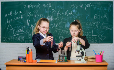 School project investigation. School experiment. Science concept. Gymnasium students with in depth study of natural sciences. Girls school uniform busy with proving their hypothesis. Private school