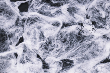 Fake cobweb and spiders