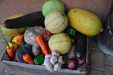 owocw-warzywa ,jedzenie, jarzyna, pomidor, jarzyna, swiezy, papryczka, zieleń, owoc, zdrowa, ogórek, czerwień, wegetarianin, rynek, naturalny, cebula, dojrzałe, dieta, nieugotowany, zółty, jesienią, r - obrazy, fototapety, plakaty