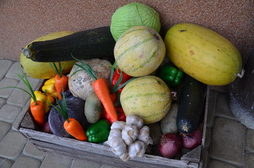 Owoce-warzywa ,jedzenie, jarzyna, pomidor, jarzyna, swiezy, papryczka, zieleń, owoc, zdrowa, ogórek, czerwień, wegetarianin, rynek, naturalny, cebula, dojrzałe, dieta, nieugotowany, zółty, jesienią, r - obrazy, fototapety, plakaty