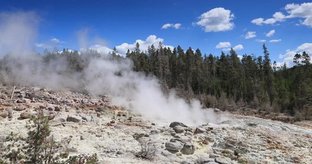 Yellowstone National Park geyser basin steam. Geothermal ecosystem environment. Largest super volcano on the continent. Biology geography and ecology. Millions of tourist.