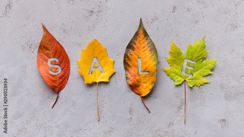 Poster four different colorful leaves with cut letters on grey background