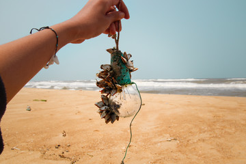 Picking up trash from the beach, a barnacle covered light bulb