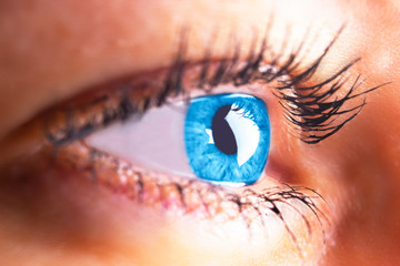 Beautiful human eye close-up. Young woman blue one eye macro shoot. Macro shot closeup eye looking up. Human eye macro detail.