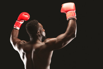 Fototapeta na wymiar Rear view of african professional boxer demonstrating victory gesture