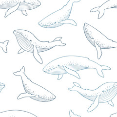 Fototapeta premium Blue whale graphic color seamless pattern background illustration vector