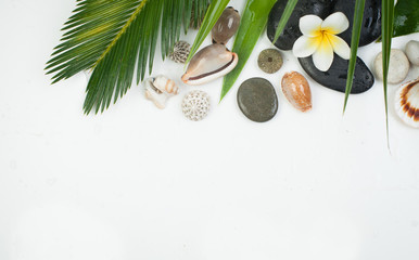 Spa concept on white background, palm leaves, tropical flower, s