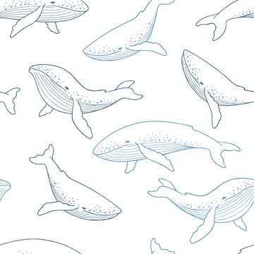 Blue whale graphic color seamless pattern background illustration vector