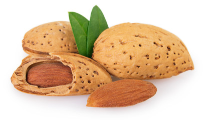 Raw almond on white background