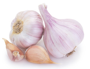 Fresh garlic on white background