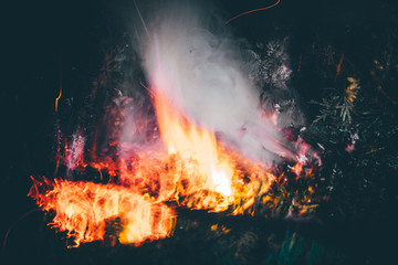  long exposure fire pictures, natural background, selective focus, film and grain