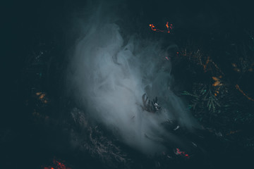  long exposure fire pictures, natural background, selective focus, film and grain © Людмила Таможенко