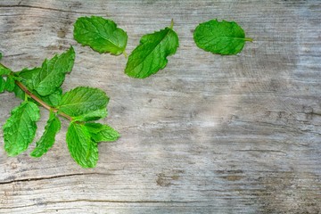 Fresh peppermint leaves on bright old wood with copy space