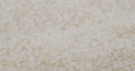 Group of Rice dried and uncooked