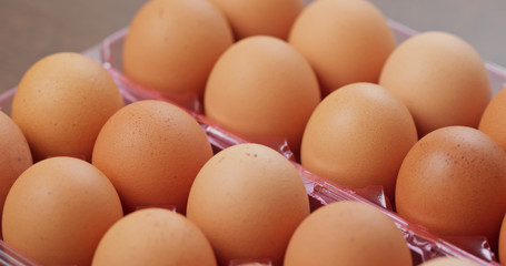 Pack of the chicken egg