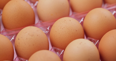 Pack of the chicken egg